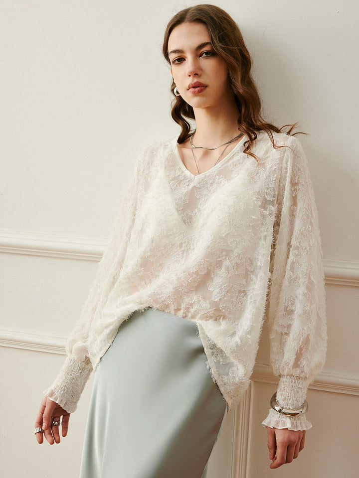 Semi-Sheer V-Neck Lantern Sleeve Embroidered Top